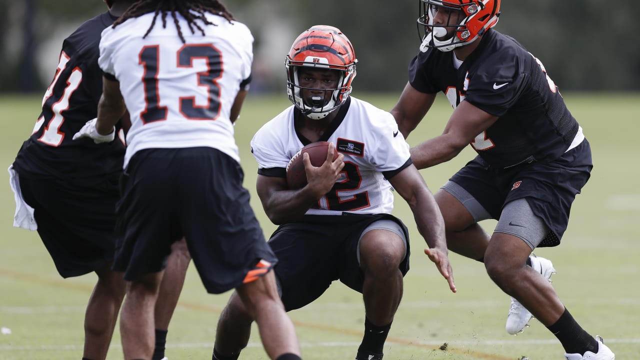 Notes: McGahee Comments on Cincy