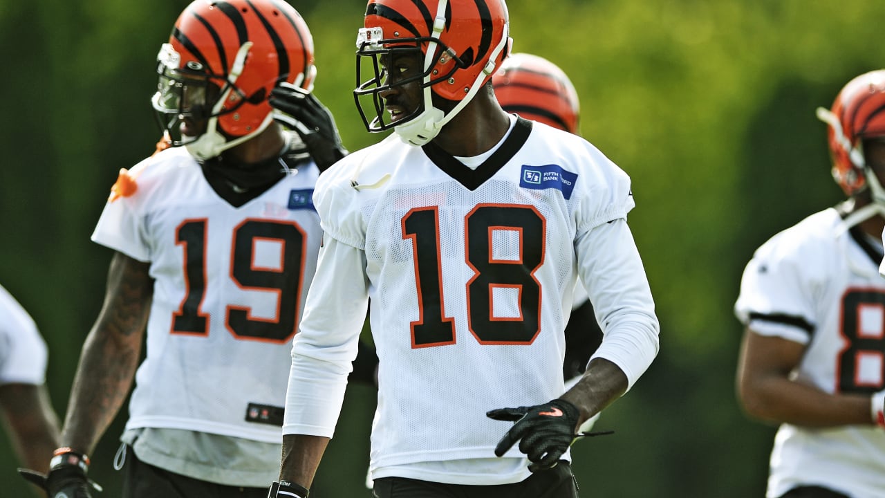 Bengals Placed Wide Receiver On Injured Reserve Friday - The Spun: What's  Trending In The Sports World Today