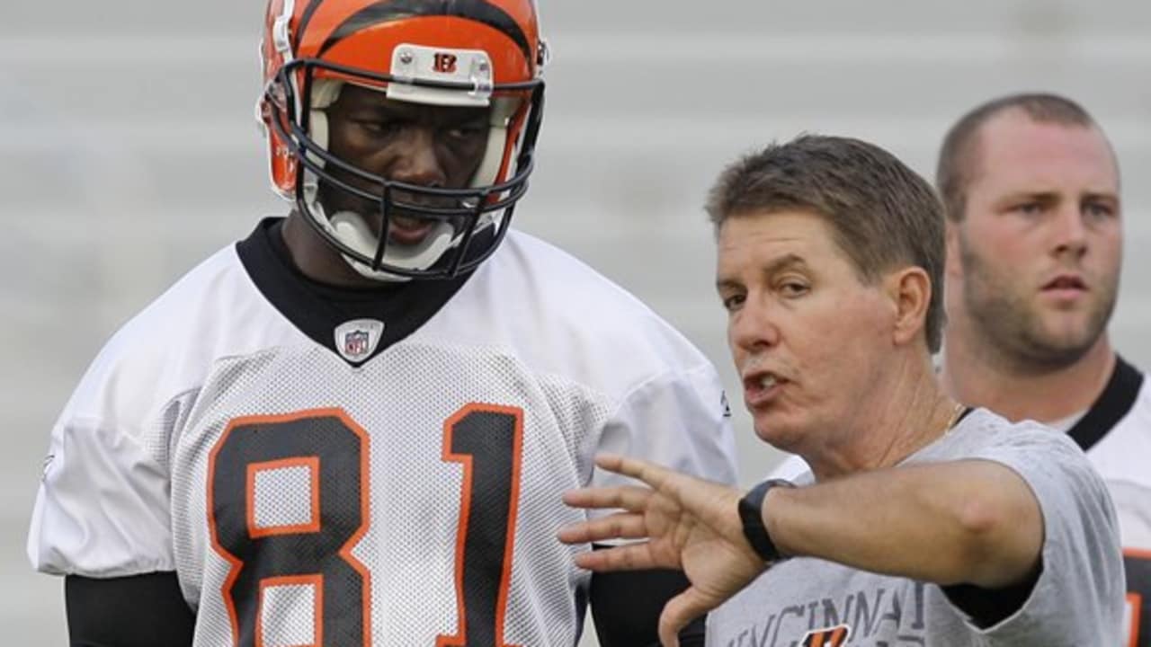 Cincinnati Bengals wide receiver Terrell Owens (81) in action during  football training camp during the NFL football team's practice, Thursday,  July 29, 2010, in Georgetown, Kentucky. (AP Photo/Al Behrman Stock Photo -  Alamy