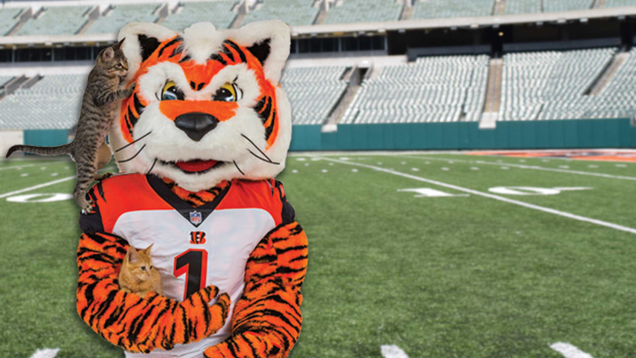 Adopt a Mini Who Dey