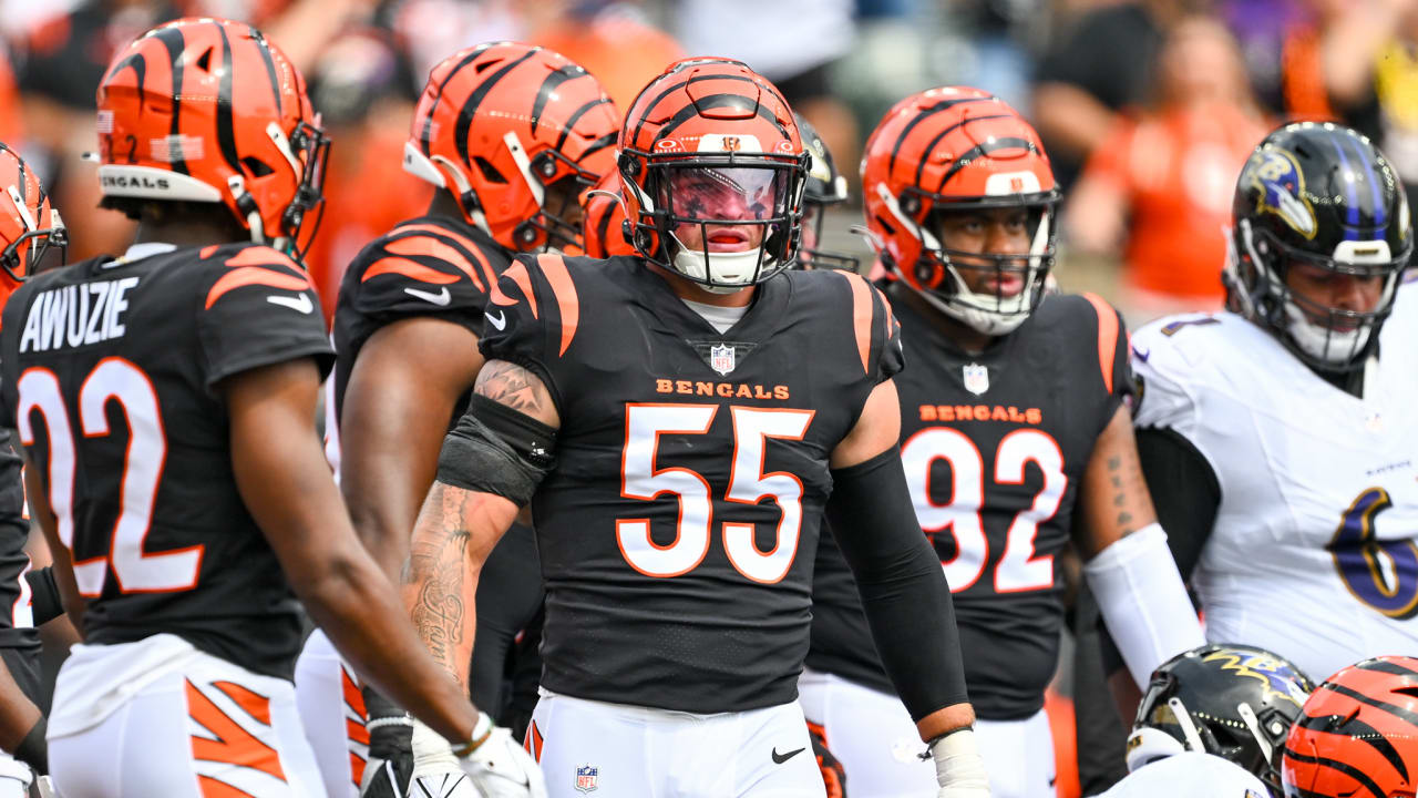 Bengals' Split-Screen Approach To Rematch Of Super Bowl Classic