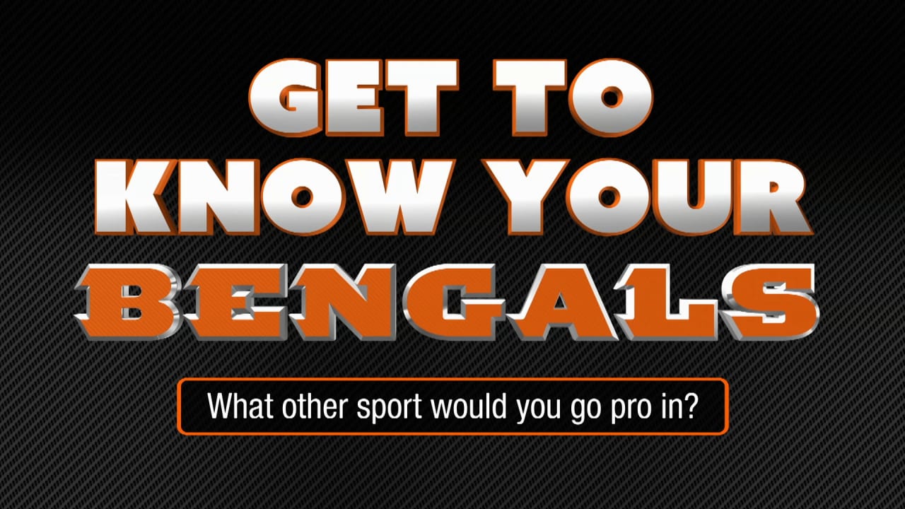 Reply to @user024332788 Which #logo do you prefer? The #bengals or th