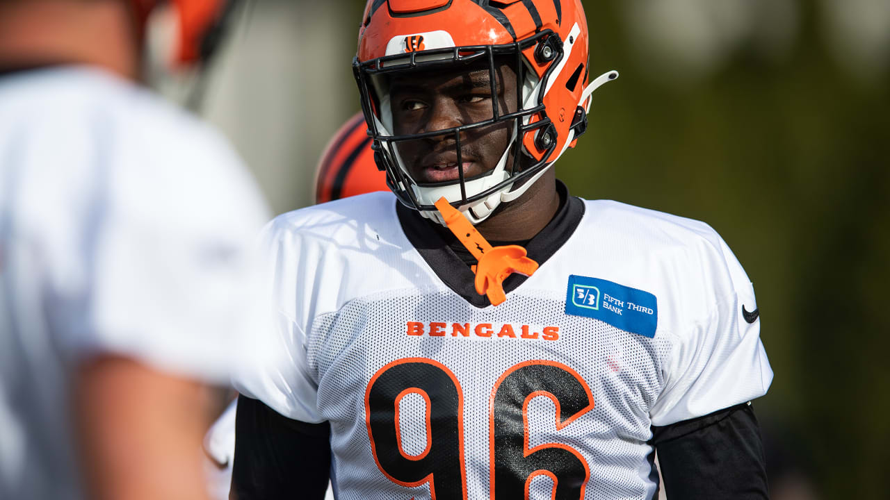 Cam Sample Impresses As Bengals Gear Up on D-Line