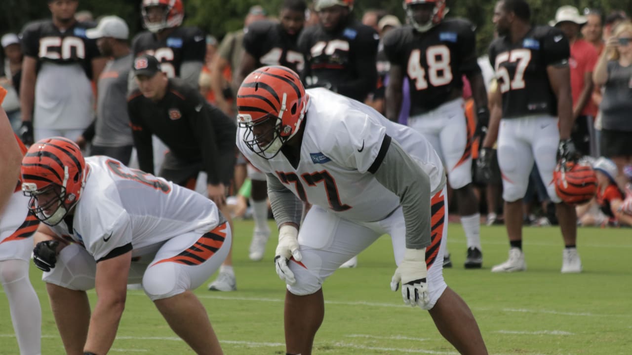 Cincinnati Bengals' D'Ante Smith (70), Jackson Carman (79) and Cody Ford  (61) walk during practice at the team's NFL football training facility,  Tuesday, June 6, 2023, in Cincinnati. (AP Photo/Jeff Dean Stock Photo -  Alamy