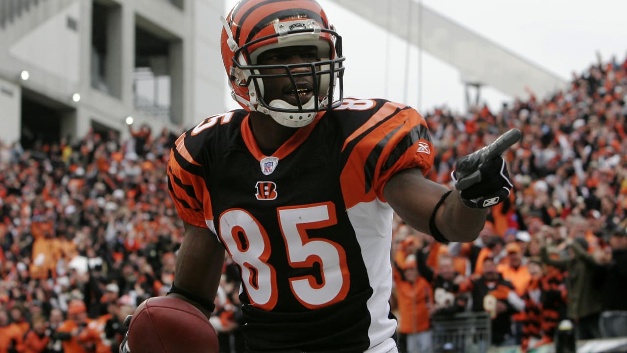 Chad Johnson marvels at the play of Bengals rookie wide receiver