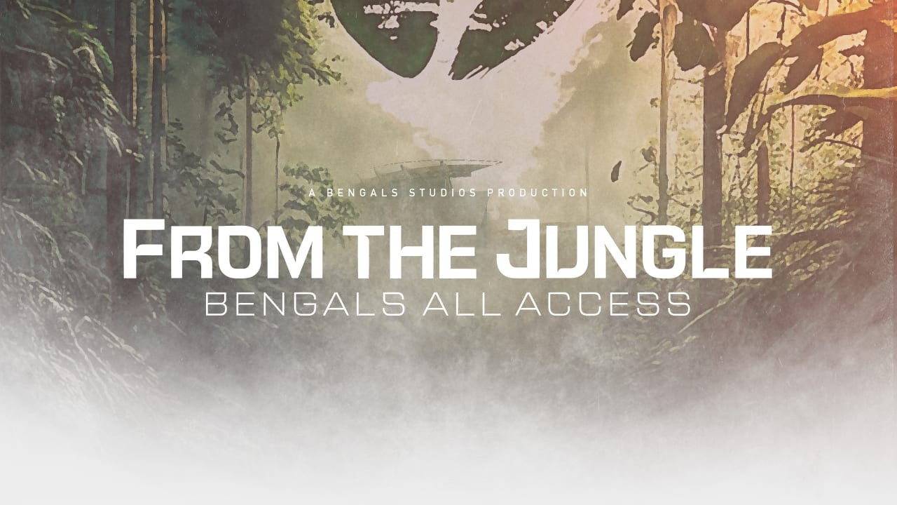 Welcome to the Jungle, Bengals fans old and new. Here's all you