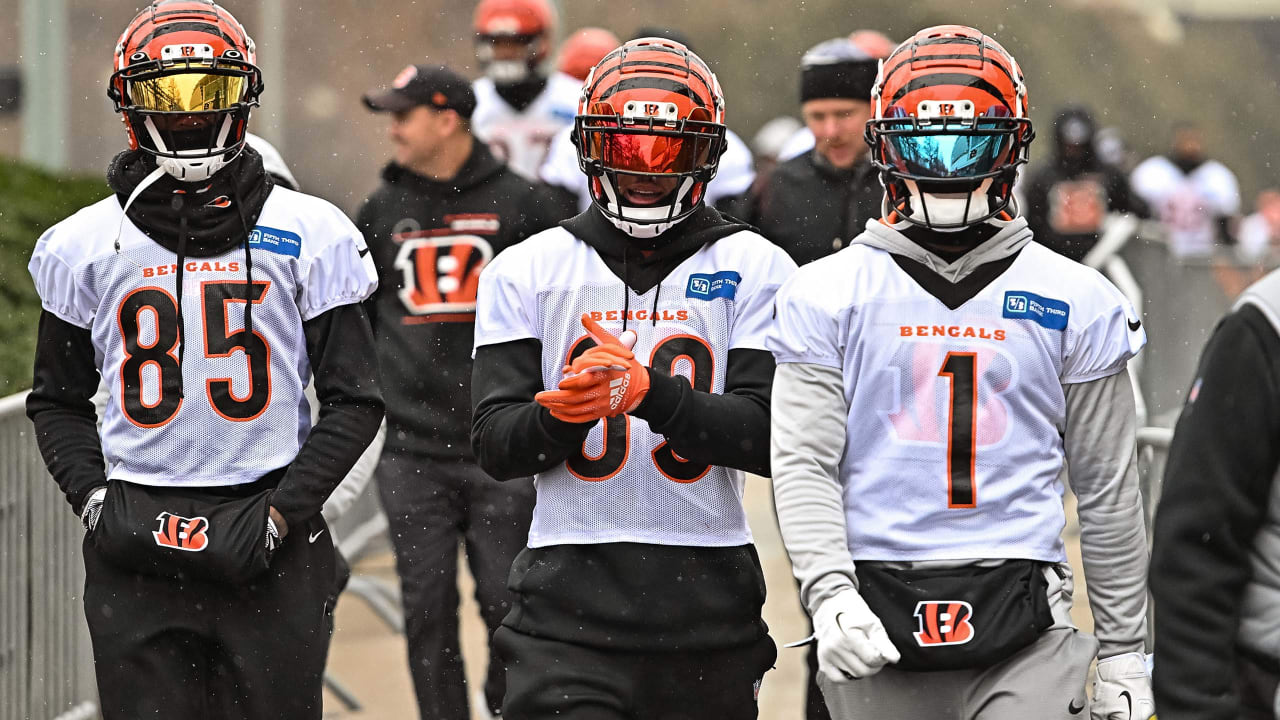 How Tee Higgins, Joe Burrow and the rest of the Bengals offense