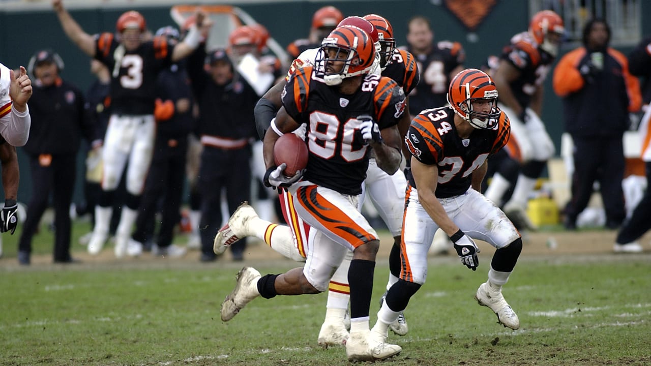 2005 cincinnati bengals