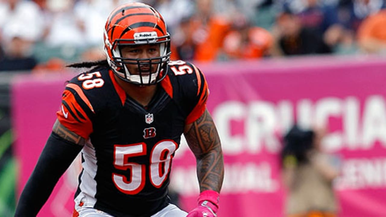 Maualuga on deck for hot-hitting backers