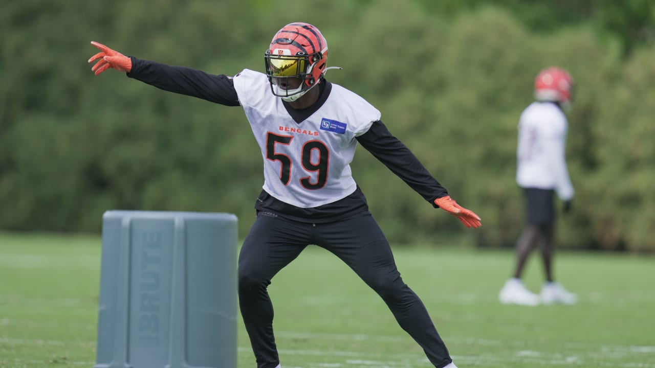 Bengals Notes: Injury Statuses For Jets Game; LB Akeem-Davis Gaither Set To Come Off Bench - Vimarsana News