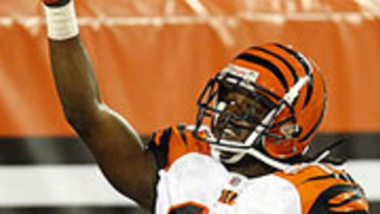 No. 6 Bengals draft bust of all-time: Chris Perry - Cincy Jungle