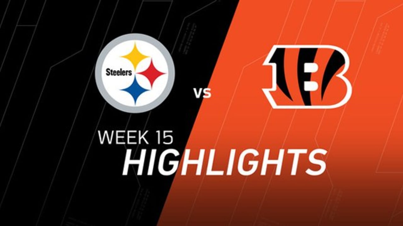 Week 15 Steelers vs. Bengals highlights