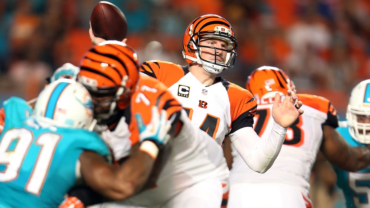 How To Watch, Listen and Stream Dolphins at Bengals