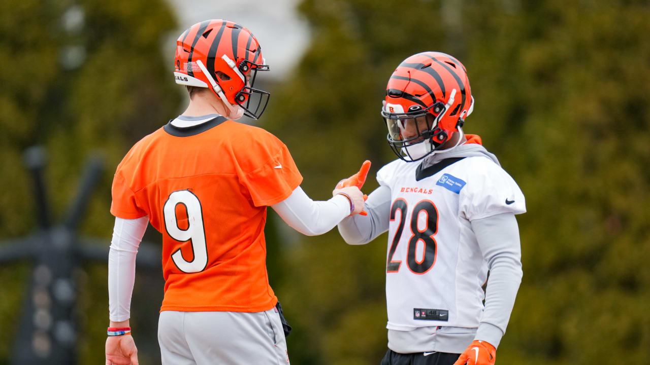 Bengals' Quick Hits: Another Road Weekend For AFC Tracker Taylors ...