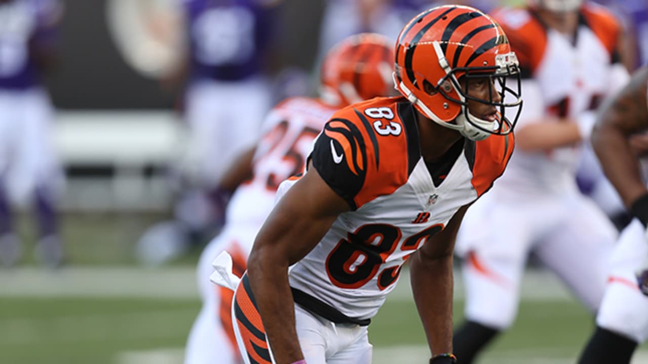 Fans get ready for Sunday's Bengals-Bills kickoff