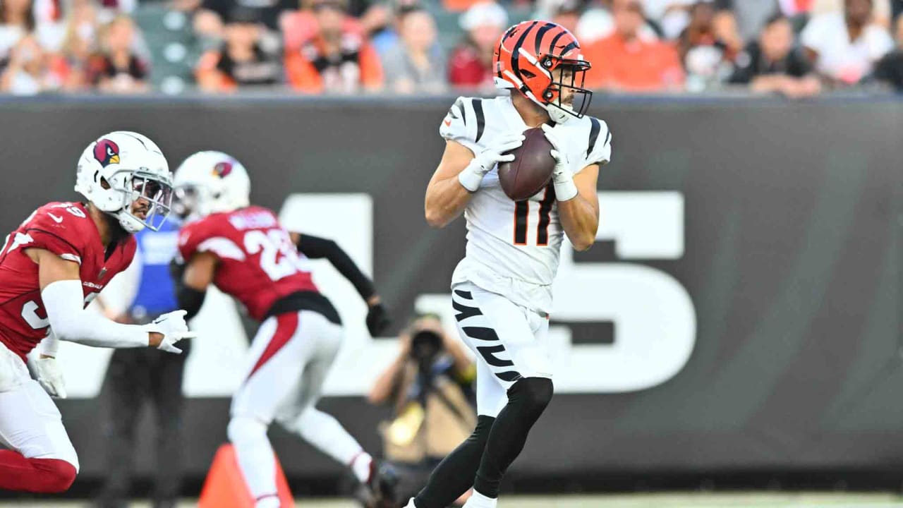 Cincinnati Bengals safety Dax Hill (23) in action as the Arizona Cardinals  played the Cincinnati Bengals in an NFL football preseason game in  Cincinnati, Friday, Aug. 12, 2022. The Cardinals won 36-23. (