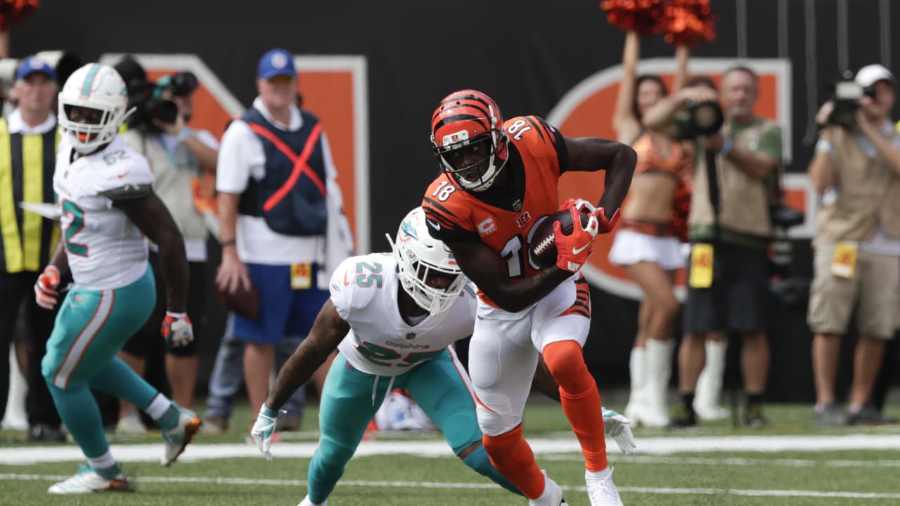 Cincinnati, Ohio, USA. 07th Oct, 2018. Miami Dolphins wide receiver Jakeem  Grant (19) celebrates with teammates after scoring a touchdown in a game  between the Miami Dolphins and the Cincinnati Bengals at