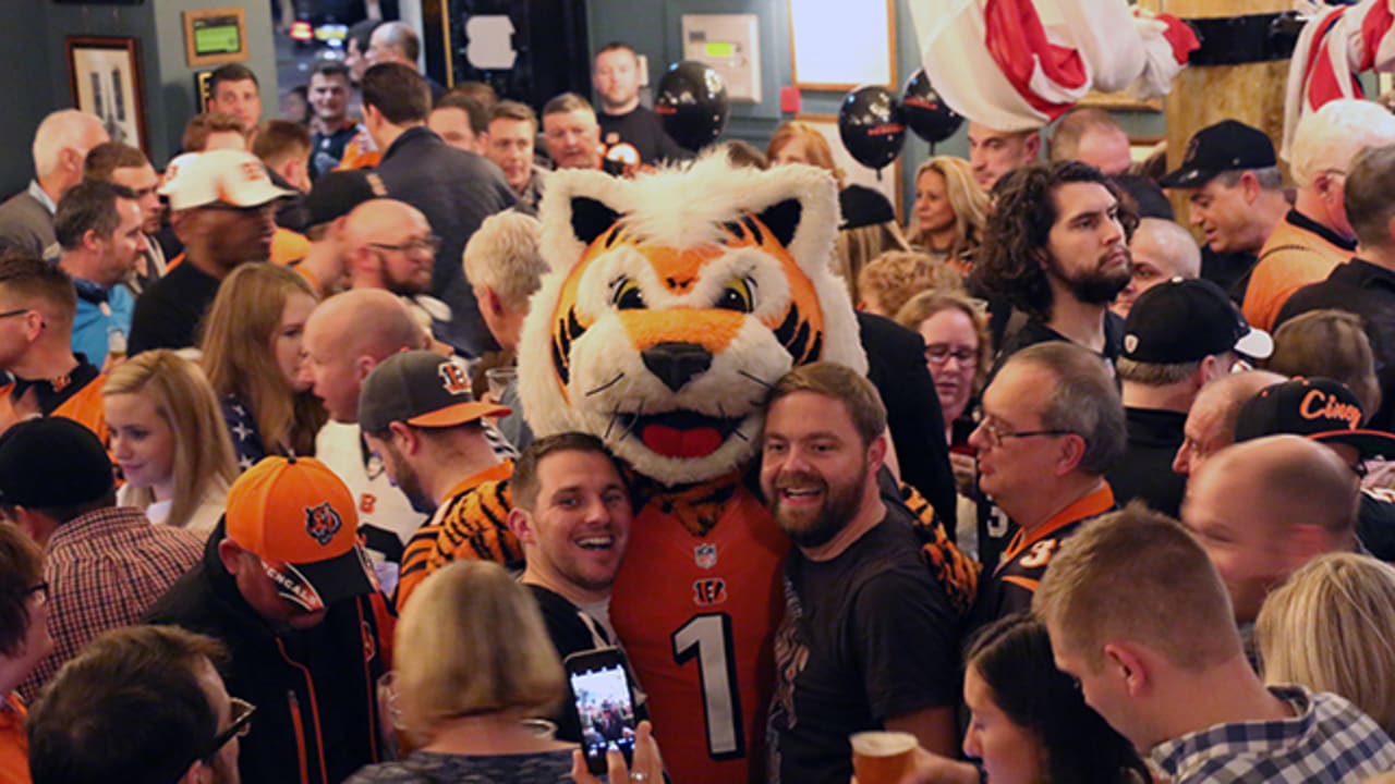 Cincinnati Bengals fans during the NFL International Series match at  Wembley Stadium, London Stock Photo - Alamy