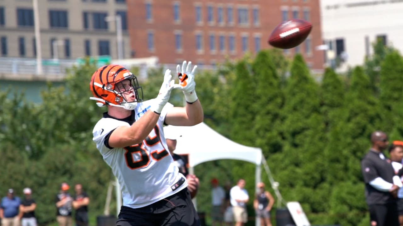 Bengals tight ends Drew Sample and C.J. Uzomah are taking training