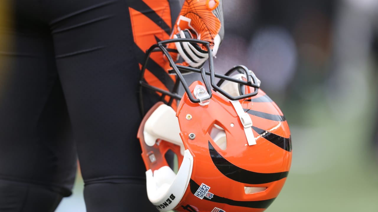 Developing the Next Generation: Inside Bengals Safeties Coach