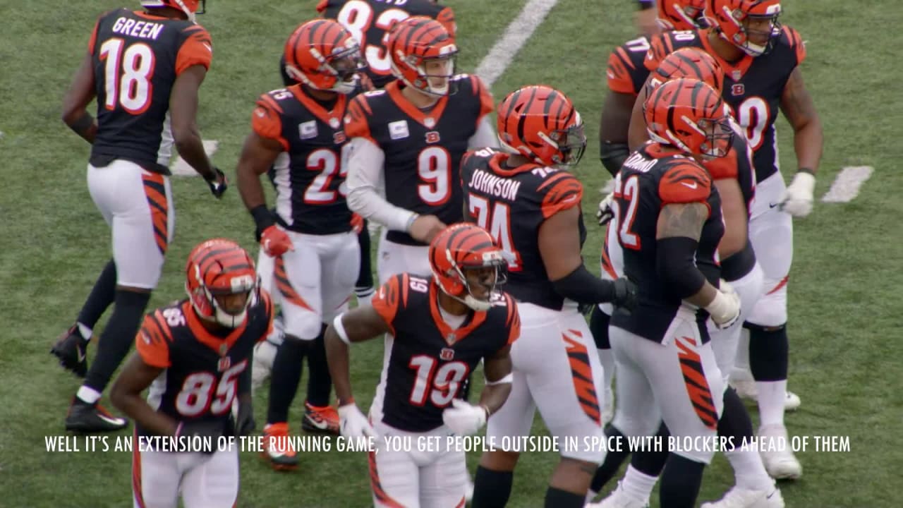 W2L4: How Bengals Backups Help Beat Back Panthers - CLNS Media