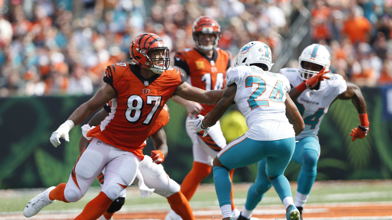 Bengals vs Dolphins second half game chat - Cincy Jungle