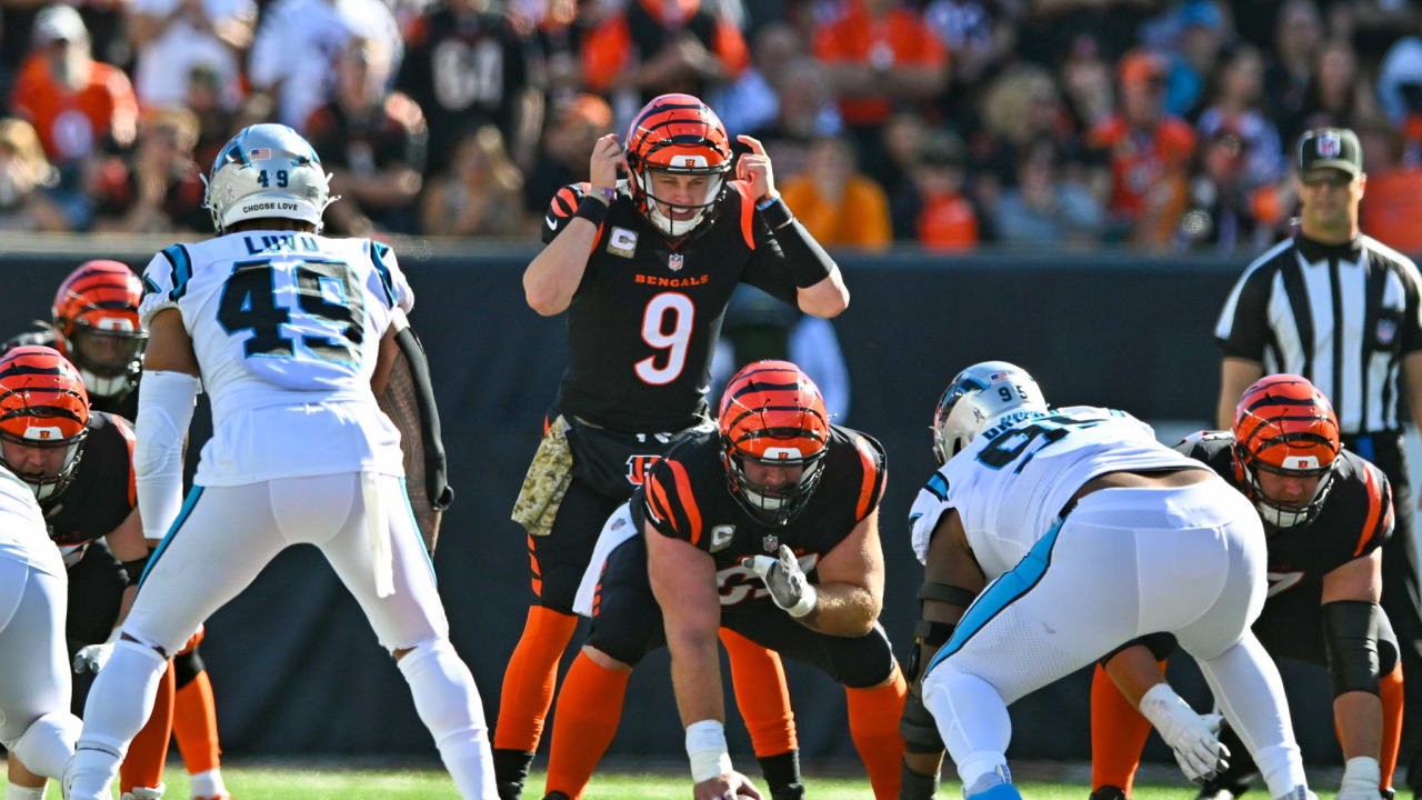 carolina panthers at cincinnati bengals