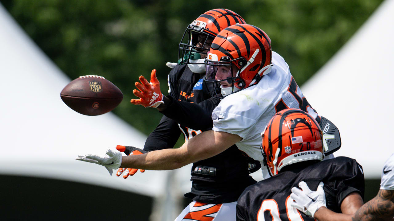 Cincinnati Bengals Training Camp Preview with Geoff Hobson 