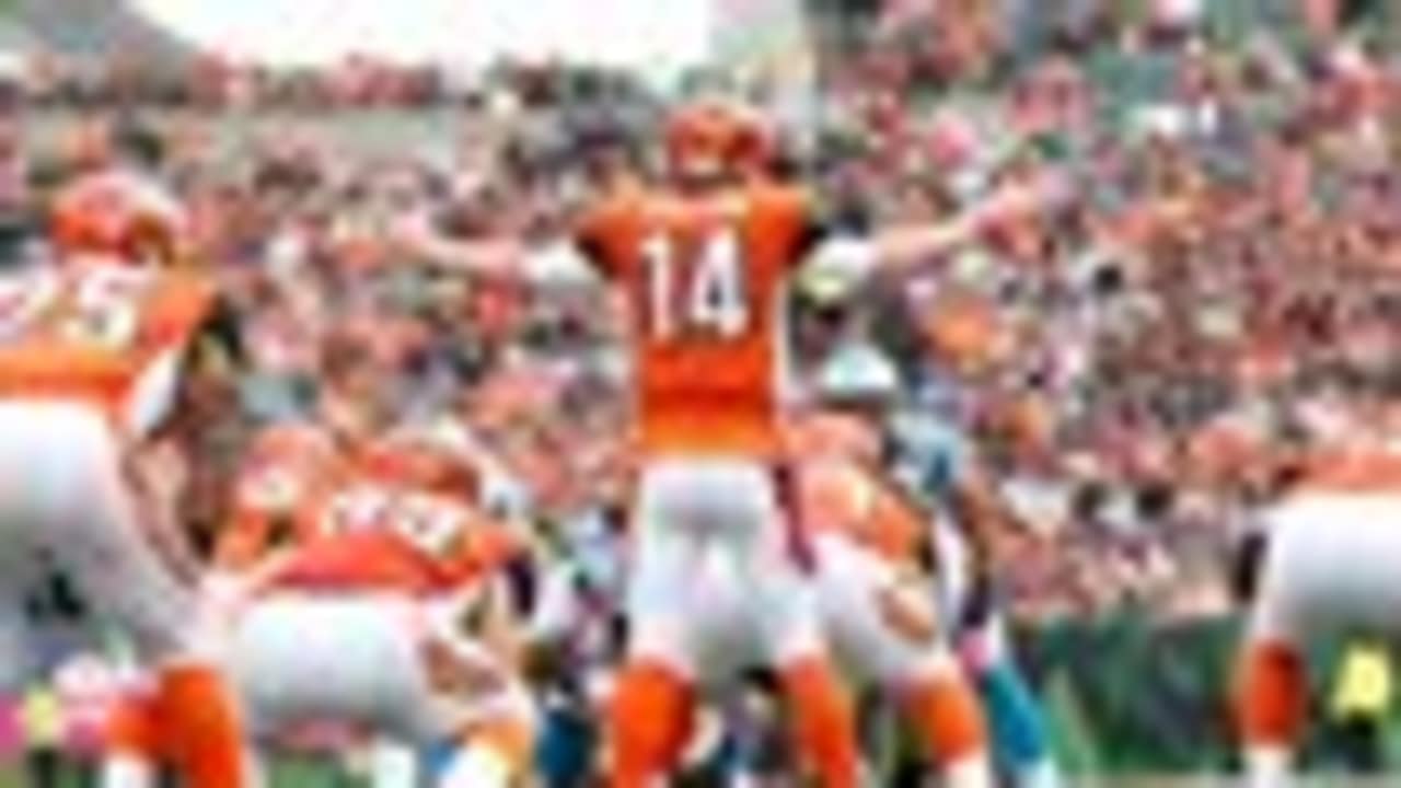 Dalton News Conference Transcript 10/15