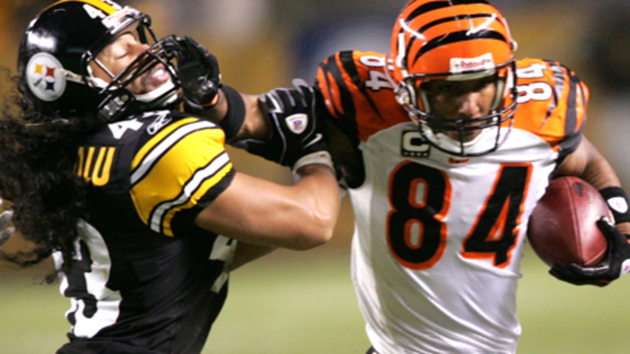 Is retiring Pittsburgh Steelers safety Troy Polamalu a first-ballot Hall of  Famer? 