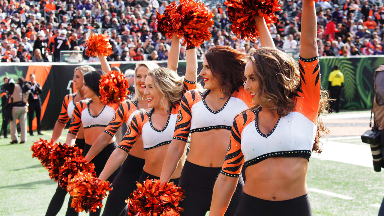 Who are the Cincinnati Bengals Cheerleaders?
