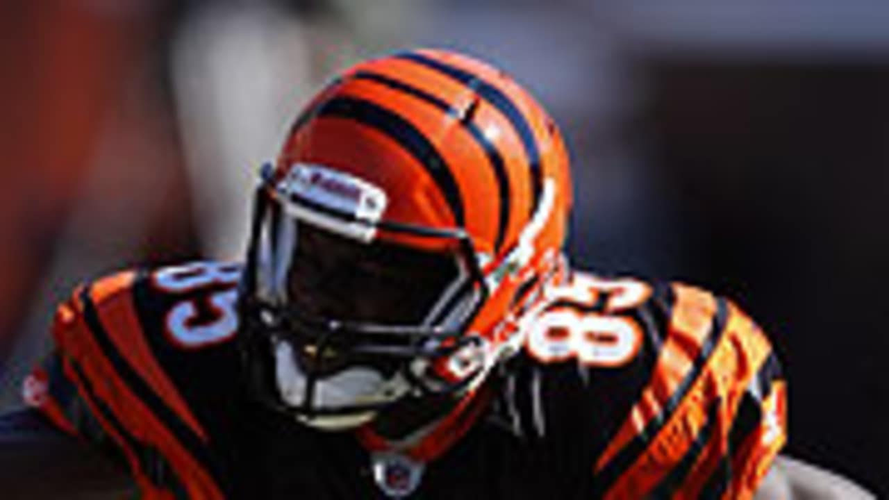 Bengals coach Marvin Lewis on James Harrison: 'James is a marvel'