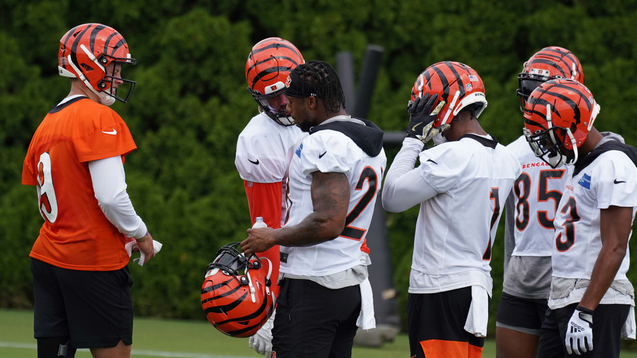 Bengals' playoff meltdown will shake them in many ways – The