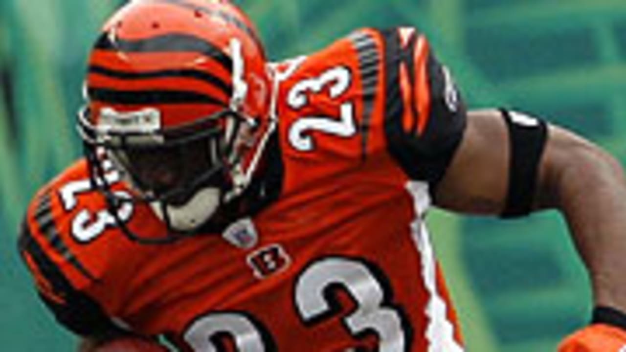 Wide Receiver Keyshawn Johnson of the Carolina Panthers looks on