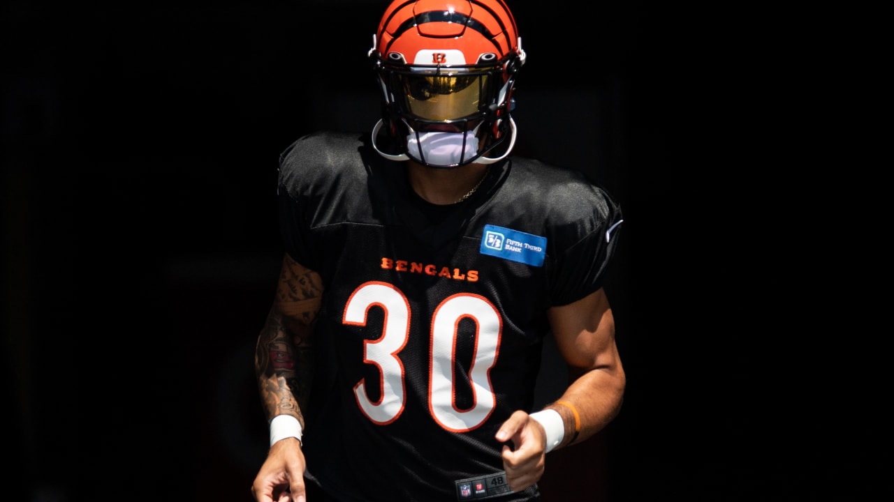 Why Peter King Thinks the Bengals Might Have to Move Tee Higgins – NBC  Chicago