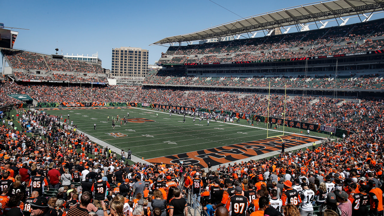 Bengals launch Rule The Jungle campaign for 2021 season.