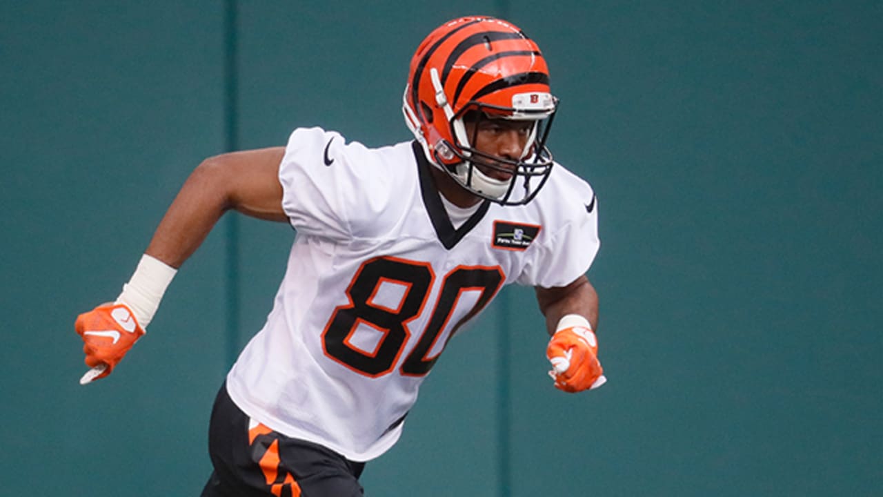 Auden Tate could be 7th-round steal for Bengals based on key stats