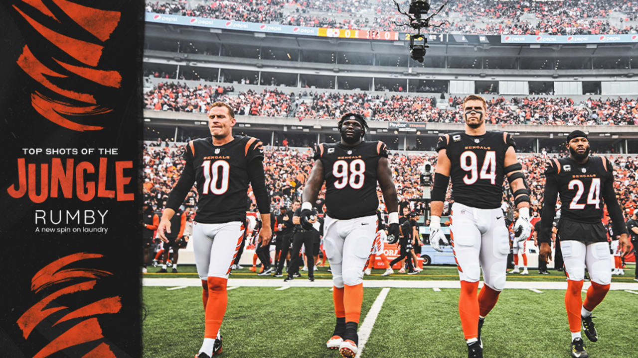 welcome to the jungle [PHOTO re-pinned, Football Rivals: Bengals vs.  Steelers / whodey]