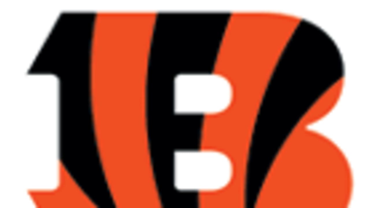 Bengals support community groups with $35,000 in grants