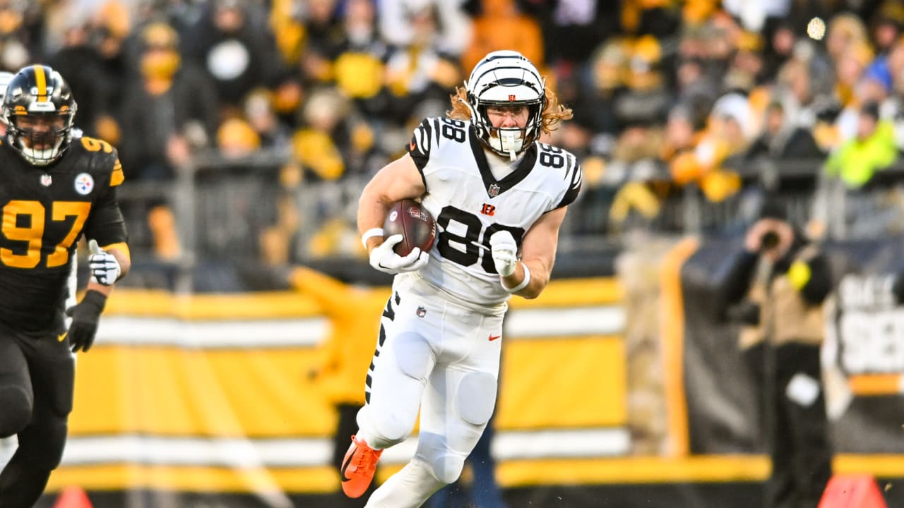 Cincinnati Bengals tight end Hayden Hurst (88) carries the ball during an  NFL football game against the Pittsburgh Steelers, Sunday, Sept. 11, 2022,  in Cincinnati. (AP Photo/Emilee Chinn Stock Photo - Alamy