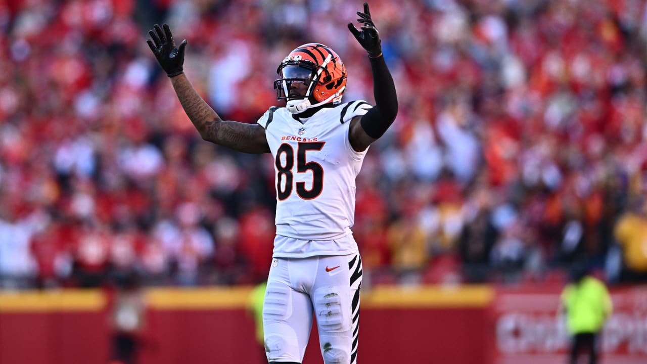 Bengals see Reggie Wayne-style rise ahead for Tee Higgins