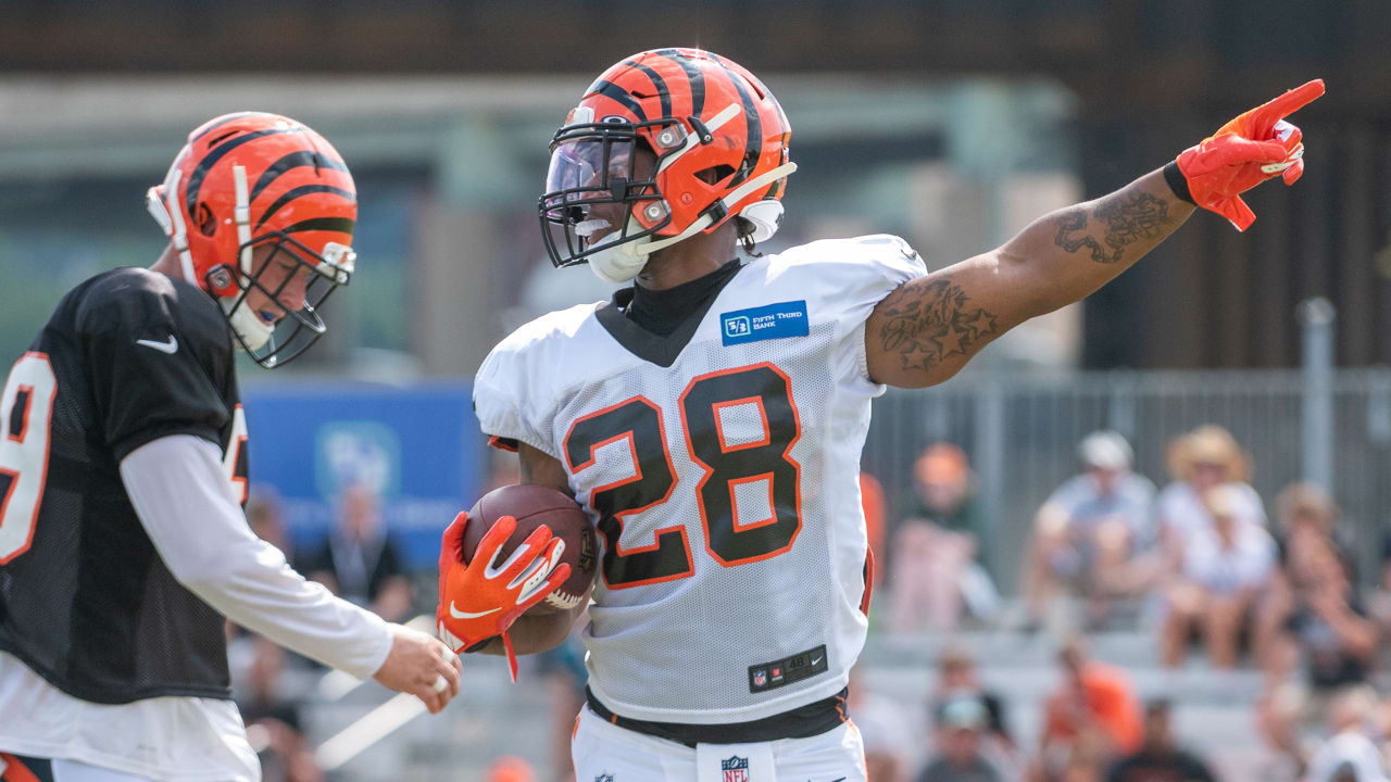 Matchup Of The Game: Vonn Bell's Elite Passion Play Vs. Lions' Dangerous TE  Threat