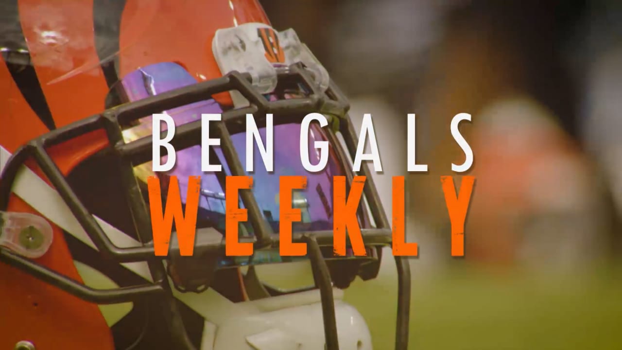 \ud83c\udfc8 Baltimore Ravens vs Cincinnati Bengals Week 16 NFL 2021-2022 ...