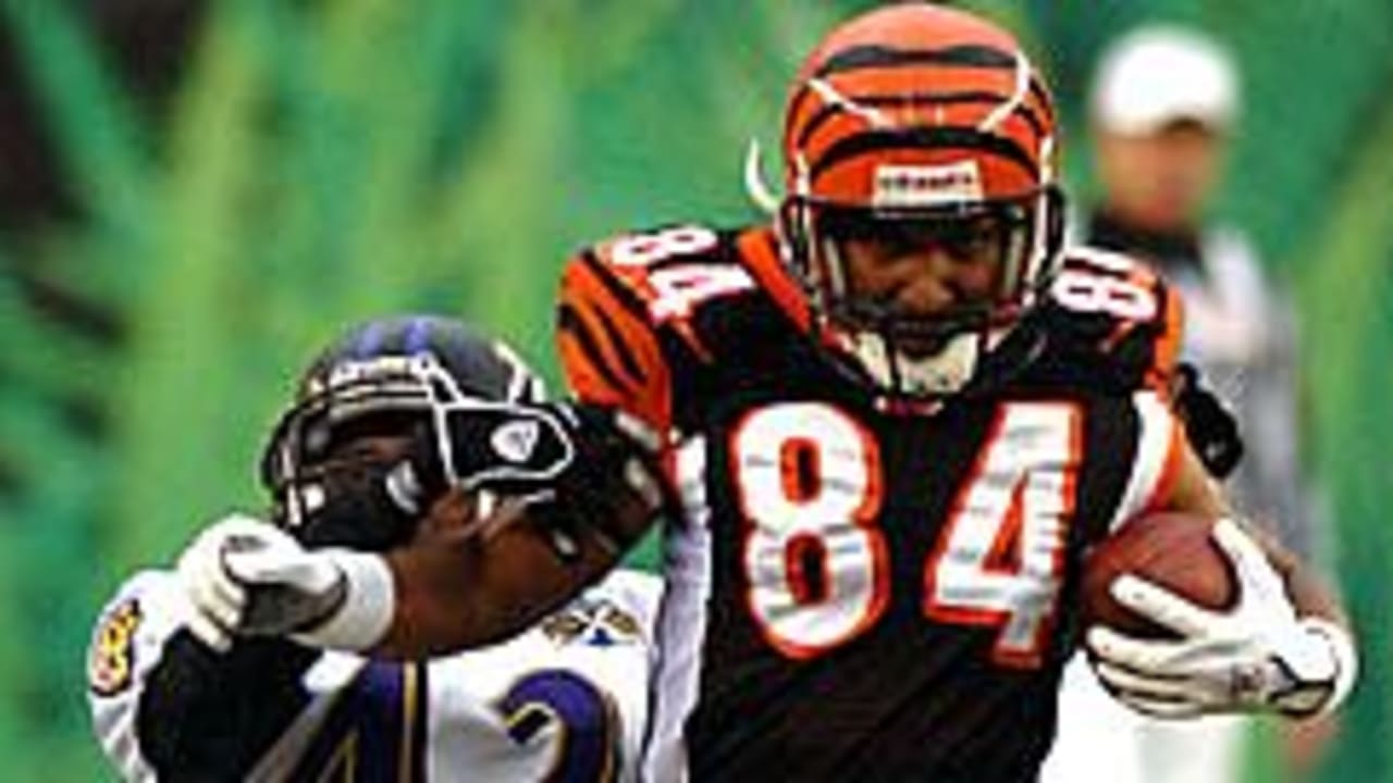 Cincinnati Bengals - Baltimore Ravens wide receiver T.J. Houshmandzadeh #84  attempts to catch the football while Cincinnati Bengals cornerback Adam  Jones #24 defends him during the game between the Baltimore Ravens and