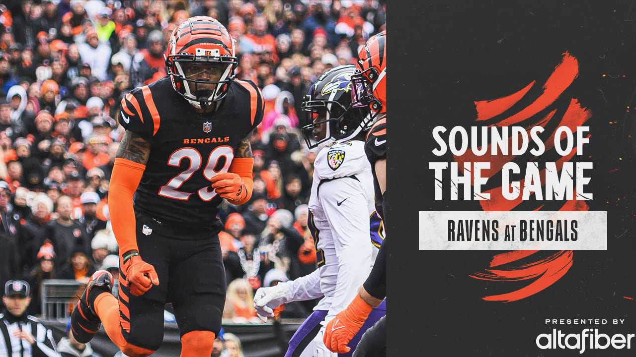 Cincinnati Bengals vs. Baltimore Ravens in NFL Week 11 - Cincy Jungle