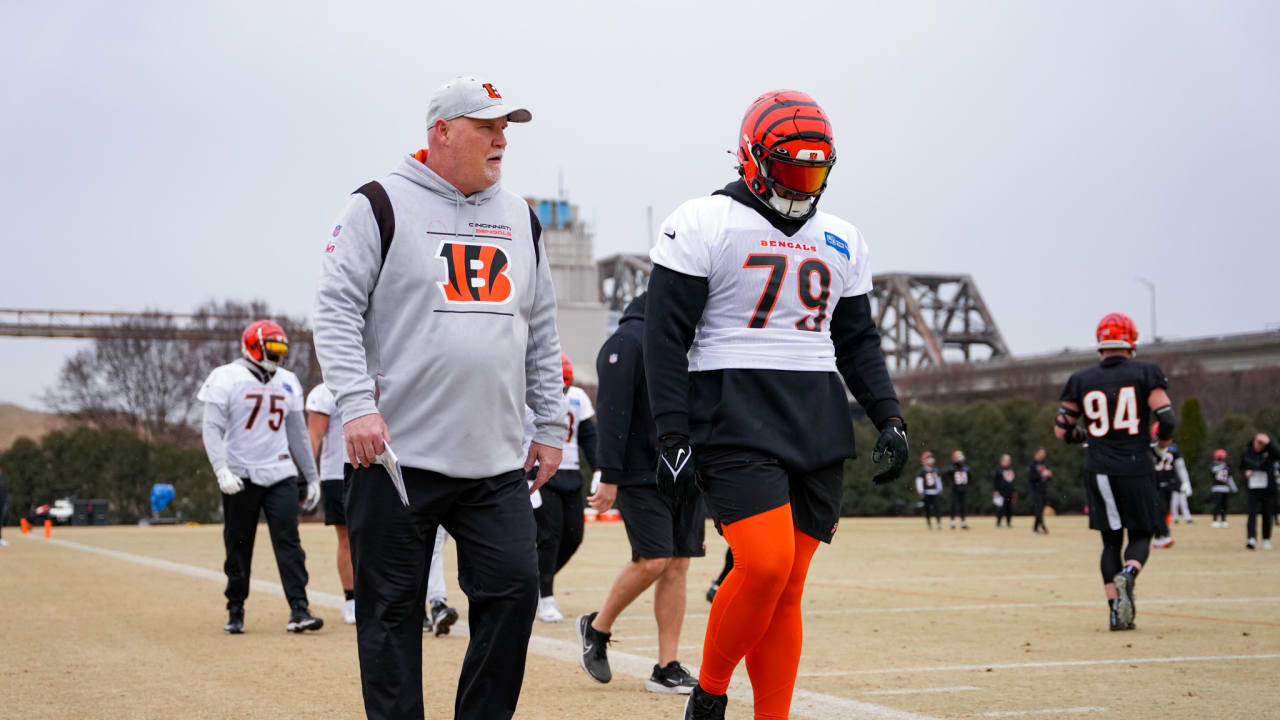 Bengals Roster: Realistic expectations for Akeem Davis-Gaither in 2023