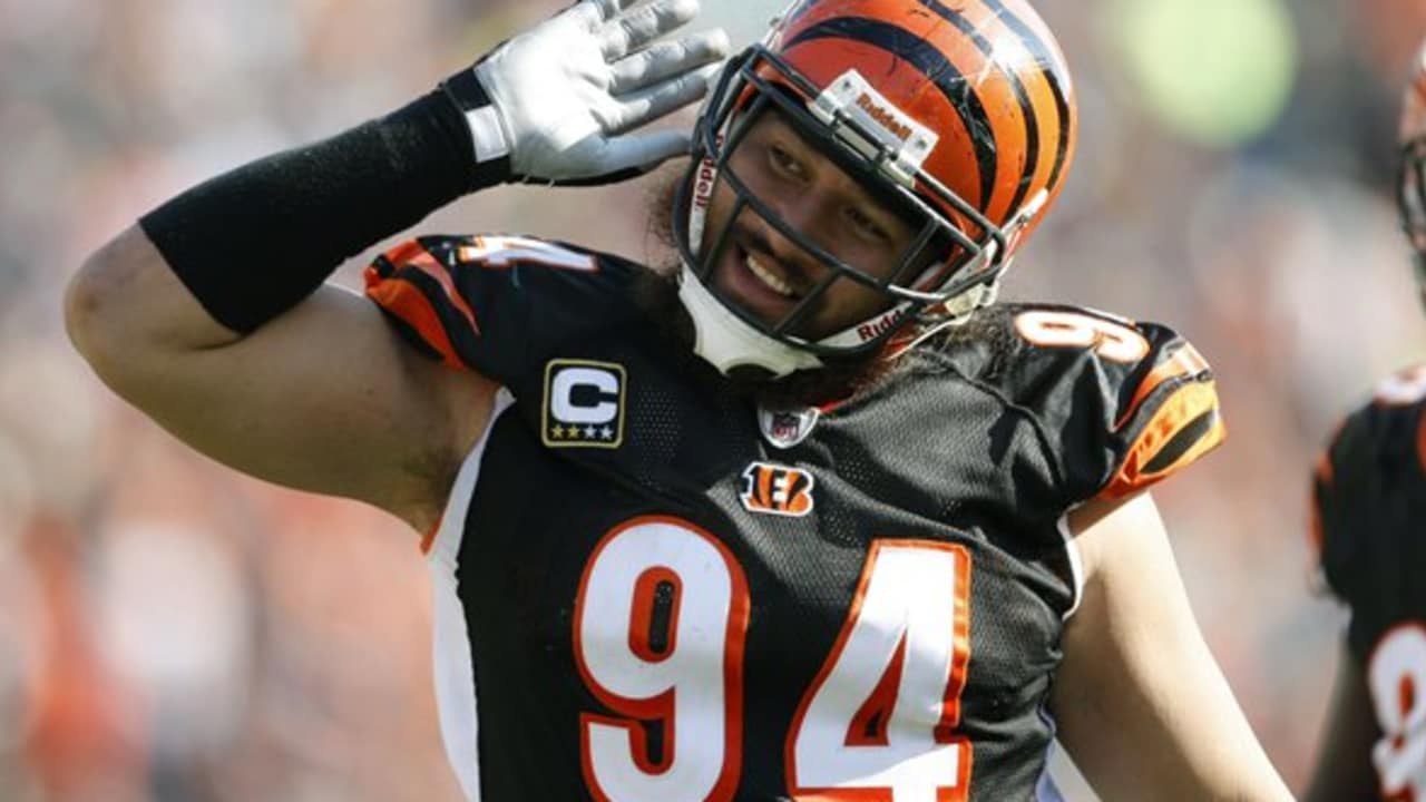 Domata Peko Sr. Stats, News and Video - NT