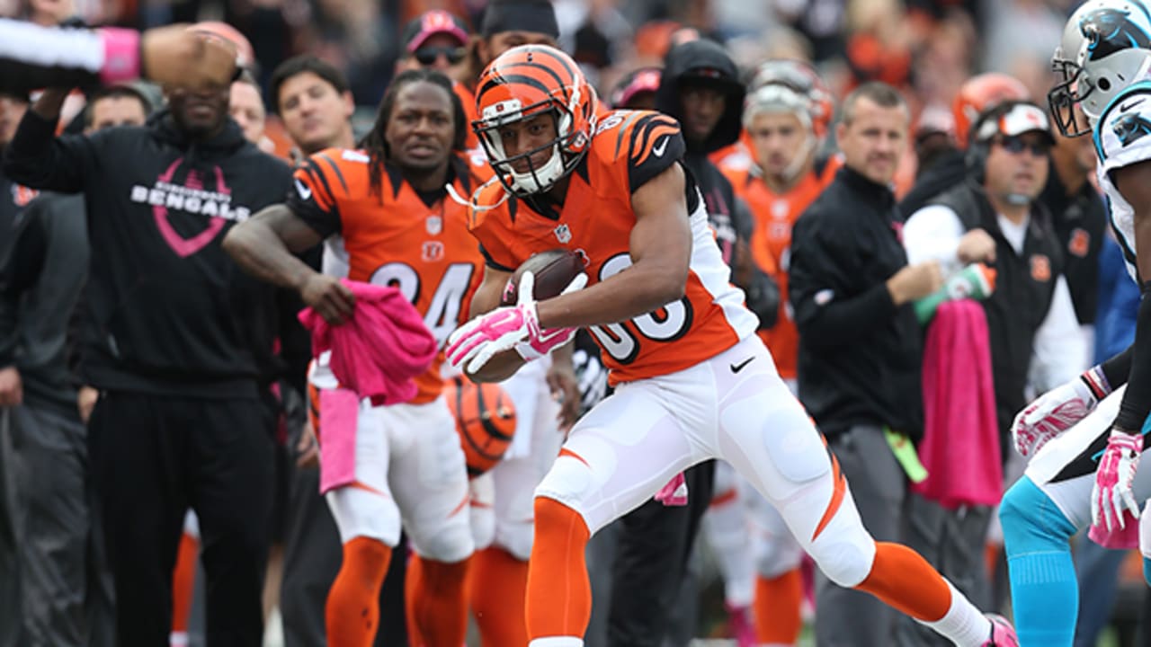 Ogbuehi, Porter to begin practicing for Bengals