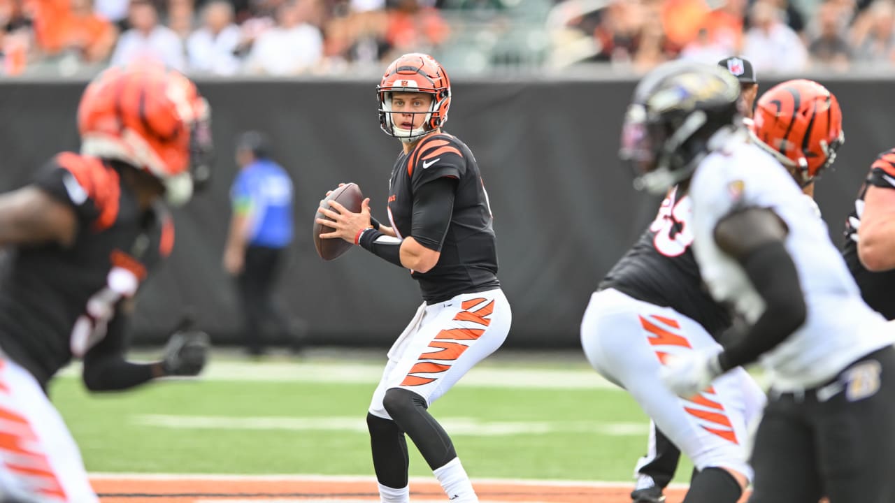 Flyiver at bengals game was so cool.would give video credit, but i do , Bengals  Football