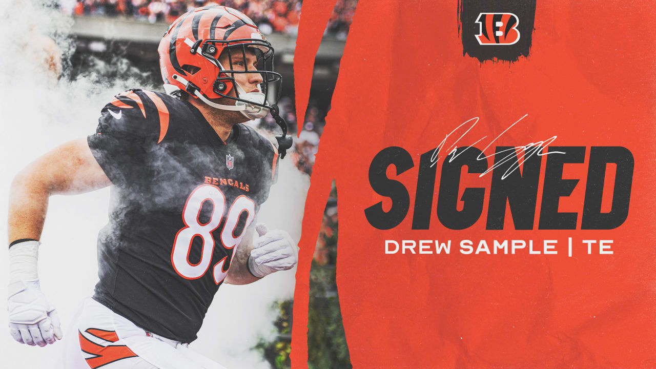 Bengals Roster Move; Tight End Elevated